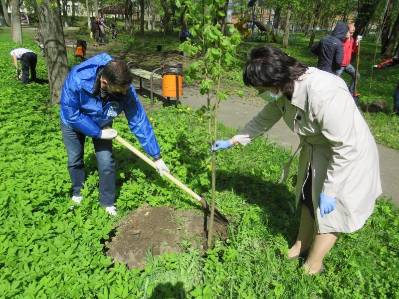 Партийцы и сторонники высадили аллею в рамках акции «Сад Памяти»  в усадьбе Фряново