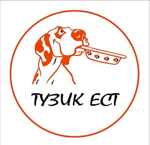 Интервью с директором фирмы ТУЗИК ЕСТ (рассказ о начале работы — сегодняшний день — достижения — перспективы и планы развития)