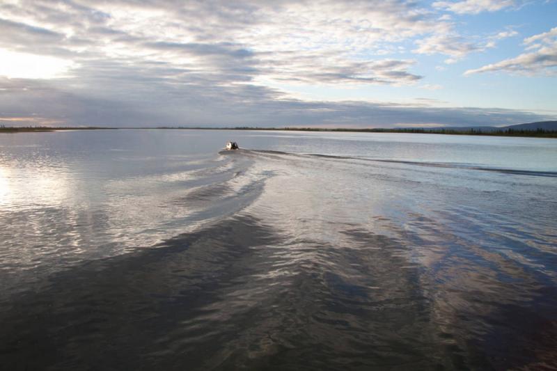 Восстановление экофонда озера Пясино станет уникальным мировым экспериментом