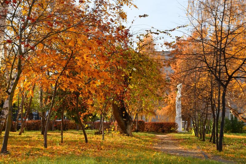 В ОмГПУ состоится конференция «Развитие и воспитание личности в современном мире»