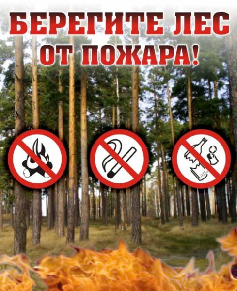 Щелковское ТУ ГКУ МО «Мособлпожспас» напоминает!
Берегите лес от пожара!