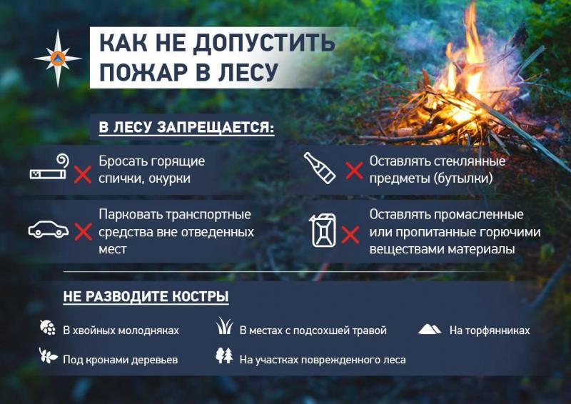 Щелковское ТУ ГКУ МО «Мособлпожспас» предупреждает - Берегите лес от пожара!