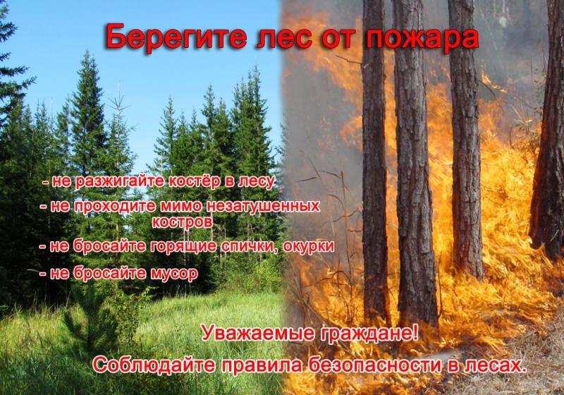 Лесные пожары очень опасны. Берегите лес от пожара!
