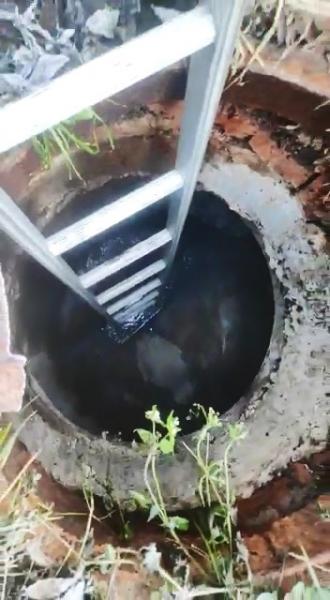 Работники ГКУ МО «Мособлпожспас» спасли собаку, провалившуюся в канализационный люк