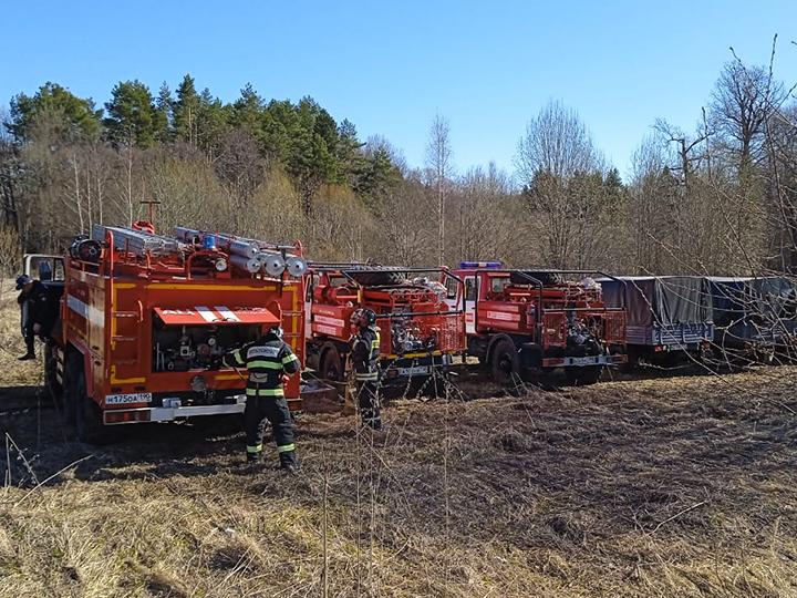 Подмосковные пожарные приняли участие в учениях по тушению природных пожаров в Лотошине