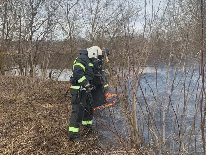 Более 500 палов травы потушили пожарные ГКУ МО «Мособлпожспас» с начала года