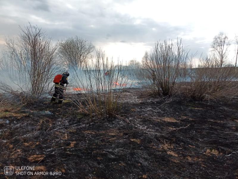 На территории Московской области действует пожароопасный сезон