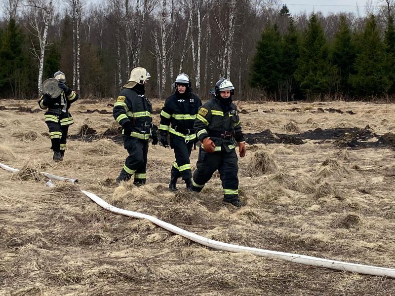 34 очага пала травы потушили за сутки пожарные ГКУ МО «Мособлпожспас»