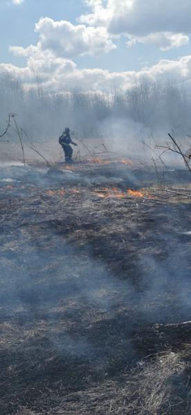 Пожарные ГКУ МО «Мособлпожспас» напоминают – пал травы опасен!