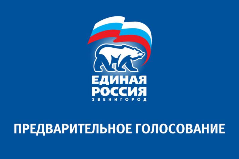 «Единая Россия» завершила предварительное голосование