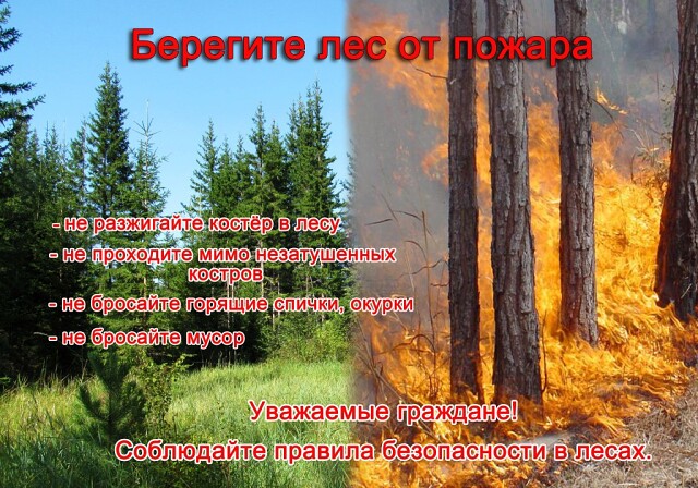 Пал травы приводит к лесным пожарам