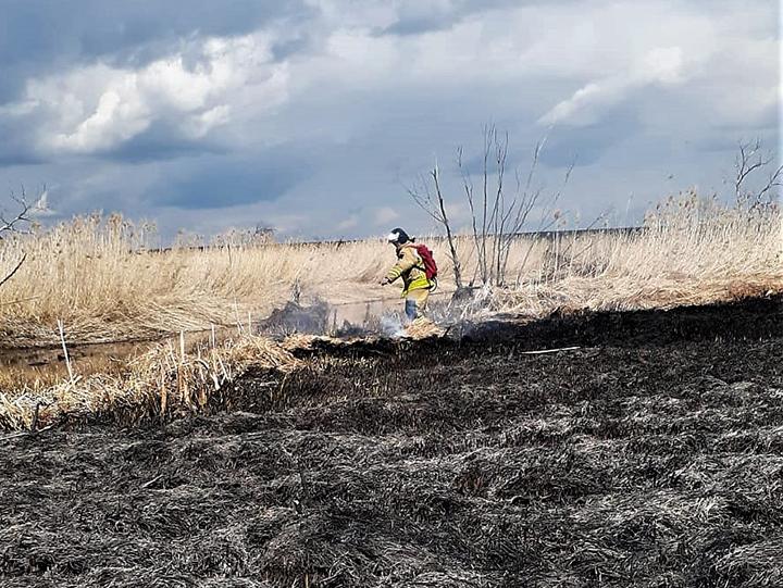 Пожарные ГКУ МО «Мособлпожспас» потушили 5 возгораний сухой травы за сутки