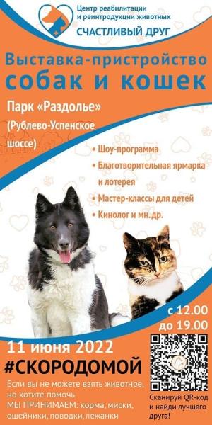 В парке «Раздолье» на Рублево-Успенском шоссе пройдет выставка-пристройство собак и кошек
