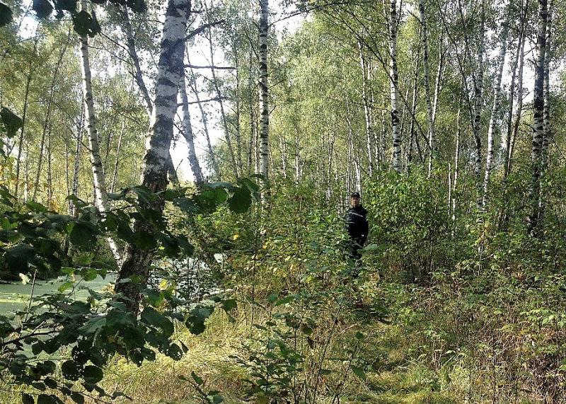 Работники ГКУ МО «Мособлпожспас» спасли пенсионерку, которая двое суток блуждала по лесу