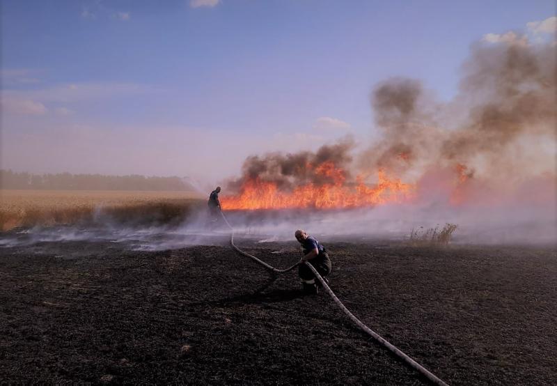 Пожарные ГКУ МО «Мособлпожспас» приняли участие в тушении возгорания стерни на ржаном поле в Луховицах