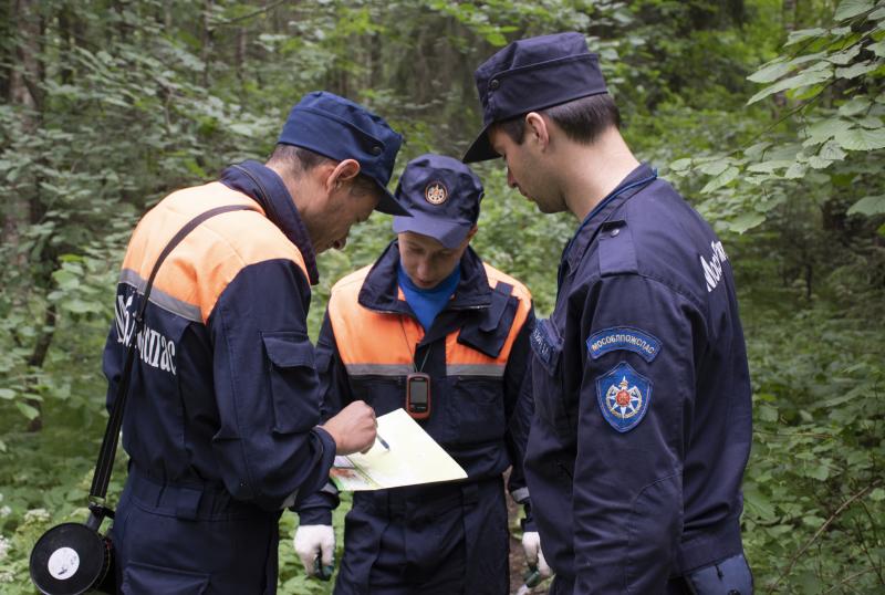 Спасатели ГКУ МО «Мособлпожспас» рассказали, что делать, если вы заблудились в лесу