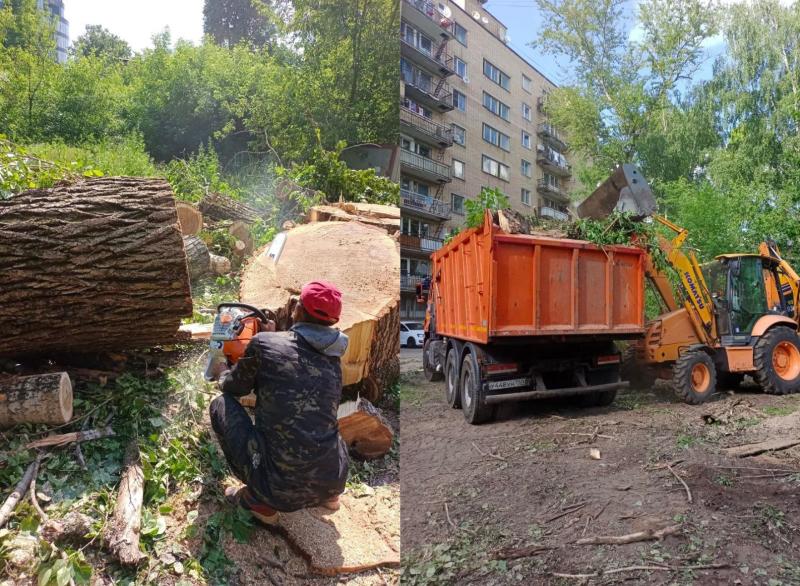 Санитарная обрезка и удаление деревьев на территории г.о.Королёв