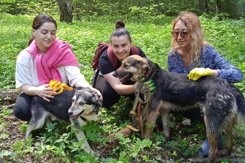 22 апреля москвичи смогут принять участие в субботнике
рядом с приютом для собак в Щербинке