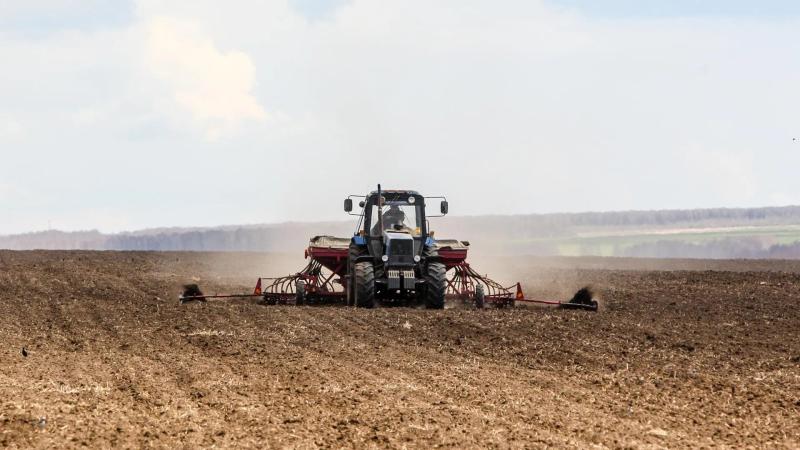 Кашира лидирует по объемам посева зернобобовых культур в Подмосковье