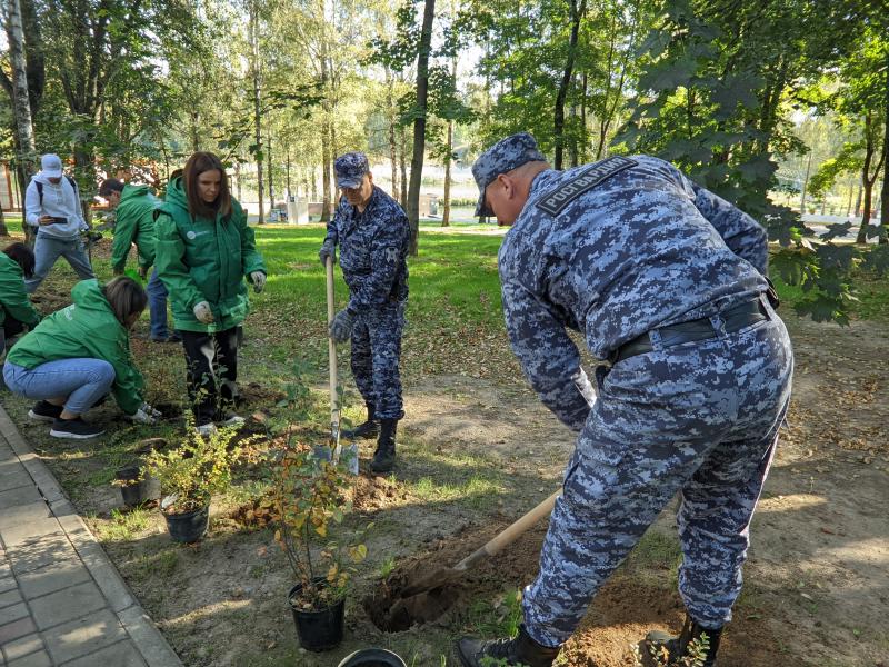 Акция "Сохраним лес вместе"