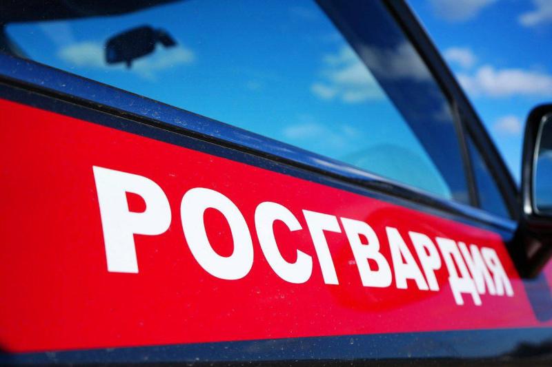 В Подмосковье сотрудники Росгвардии задержали подозреваемого в краже