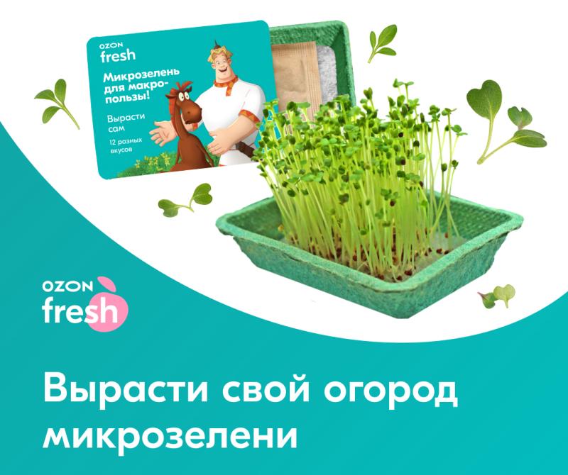 Ozon fresh предлагает россиянам выращивать микрозелень дома