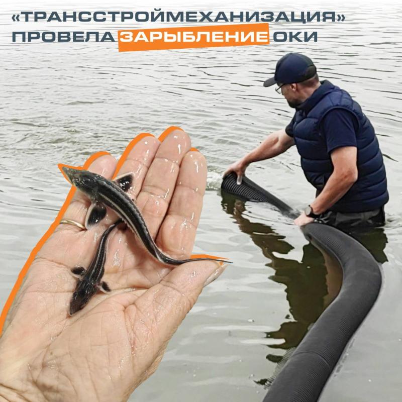 «Трансстроймеханизация» провела зарыбление Оки
