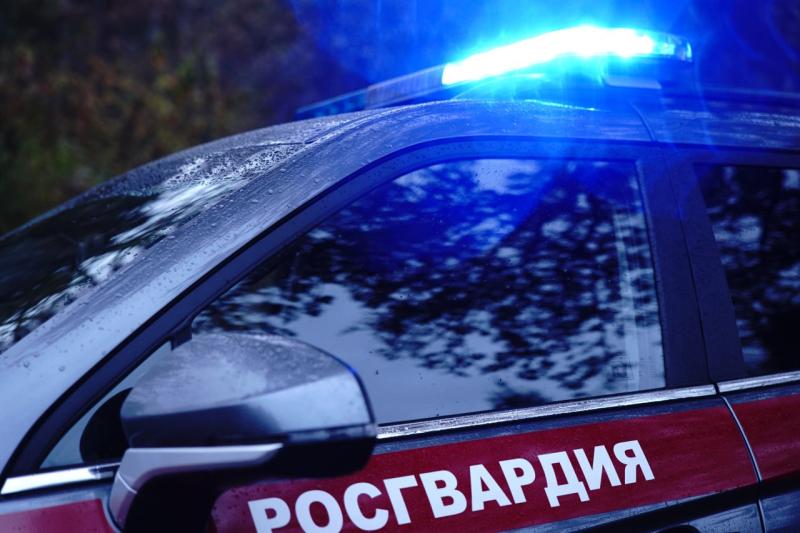 Московские росгвардейцы вернули отцу потерявшегося ребёнка