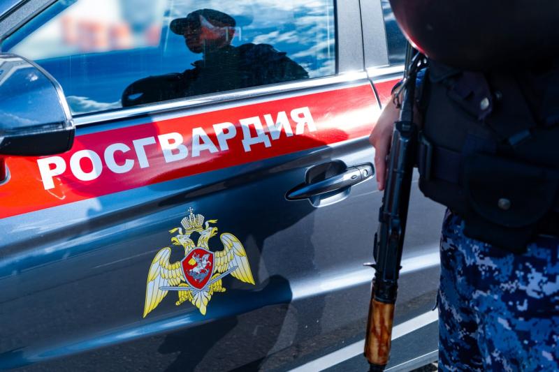 В Подмосковье сотрудники Росгвардии задержали подозреваемого в мошенничестве
