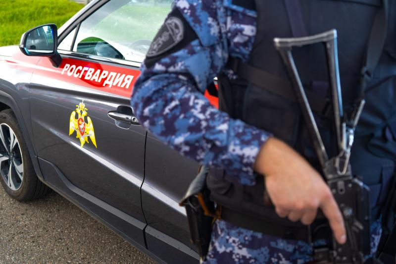 В Подмосковье сотрудники Росгвардии задержали двоих братьев, подозреваемых в краже