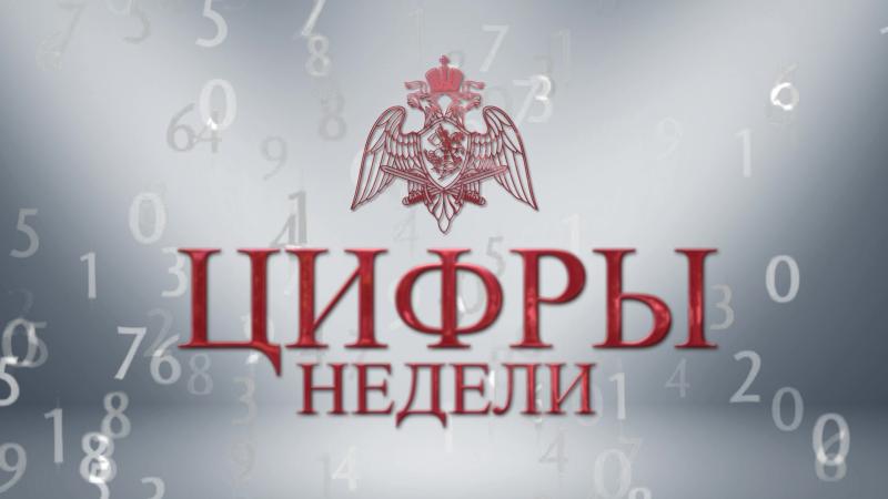 Безопасность более 250 массовых мероприятий в столице была обеспечена личным составом Главного управления Росгвардии по Москве на прошлой неделе.