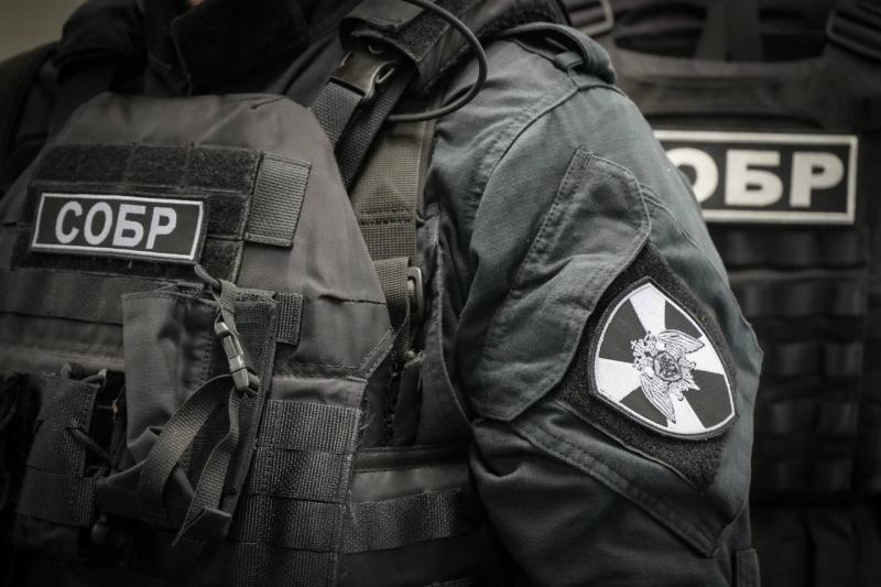 В Подмосковье при силовой поддержке спецназа Росгвардии задержаны подозреваемые в разбое с многомиллионным ущербом