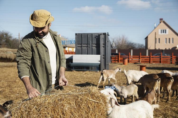Типы весов для животных: с ограждениями, без ограждений, автоприцеп