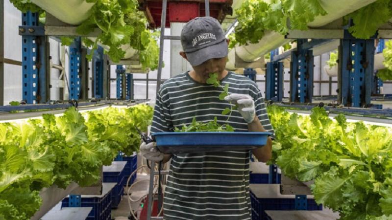 Посол России рассказал об интересе бизнеса к трудовым мигрантам из Индонезии